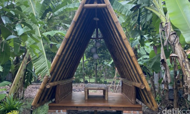 Imah Urang Eco Park: Wisata Edukasi di Karawang